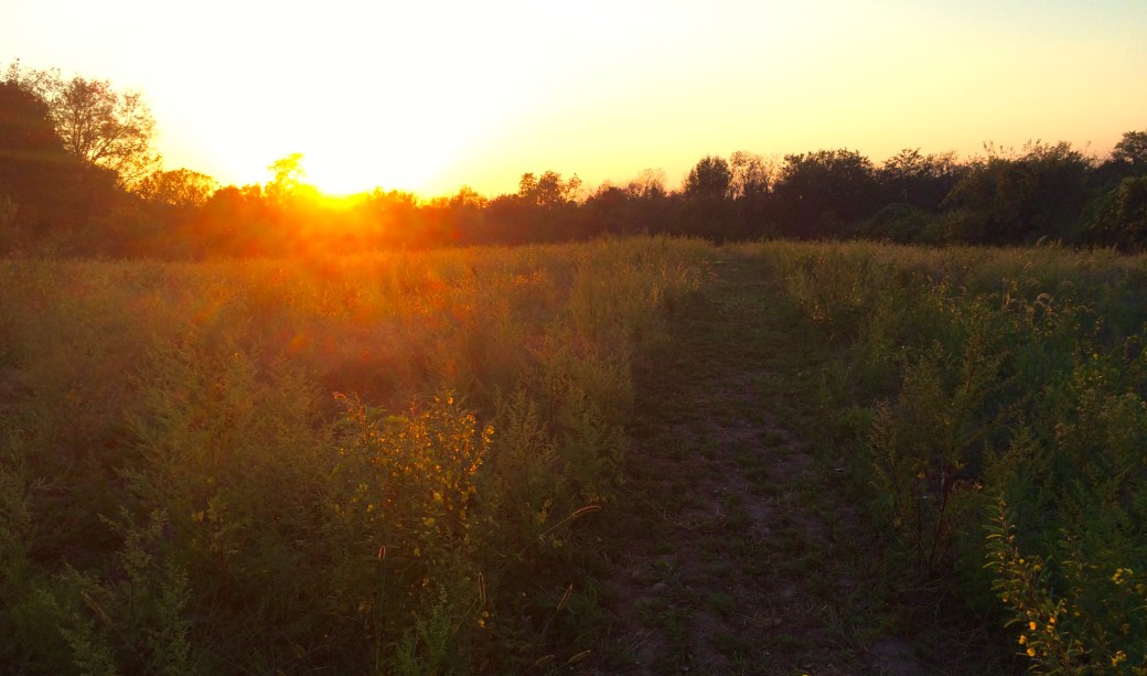 fullsizerender-copy-2